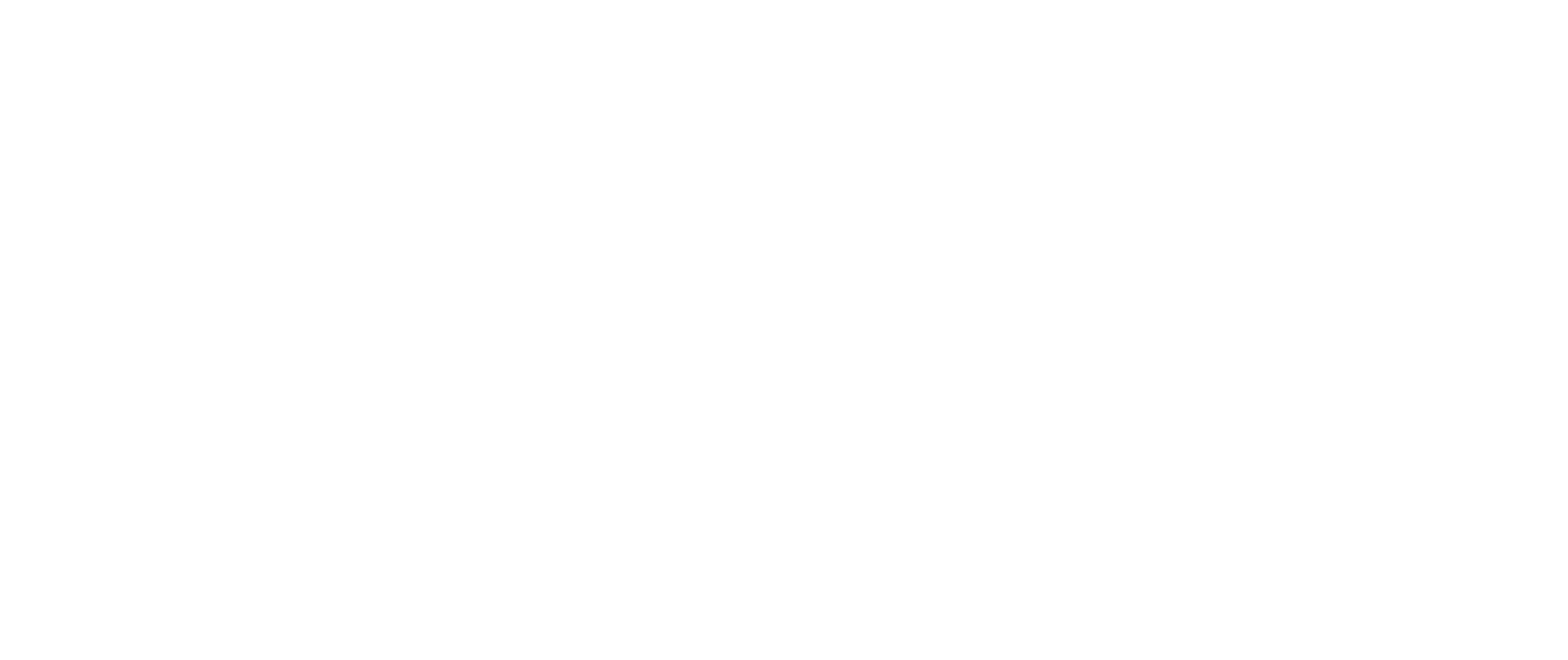 Enter The Void